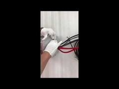 Cincin slip Ethernet ECN000-21P-06S-01EG